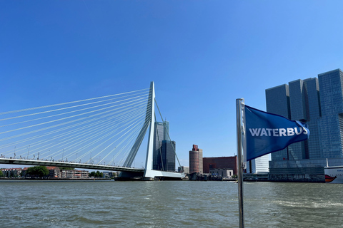 Rotterdam: Bilet na autobus wodny do Kinderdijk i Dordrecht