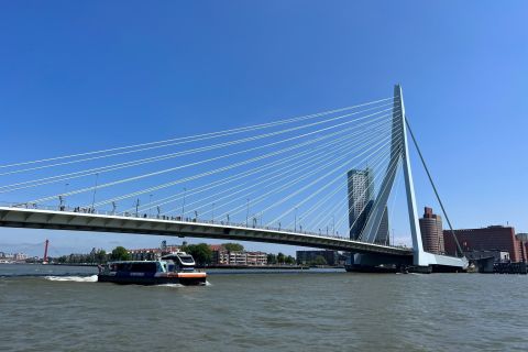 Rotterdam: Wasserbus-Tagesticket nach Kinderdijk und Dordrecht