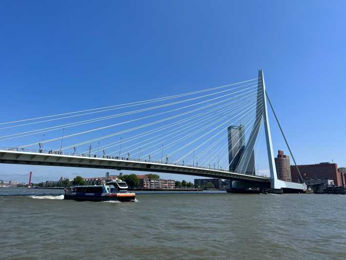 Rotterdam: Waterbus Ticket to Dordrecht and/or Kinderdijk