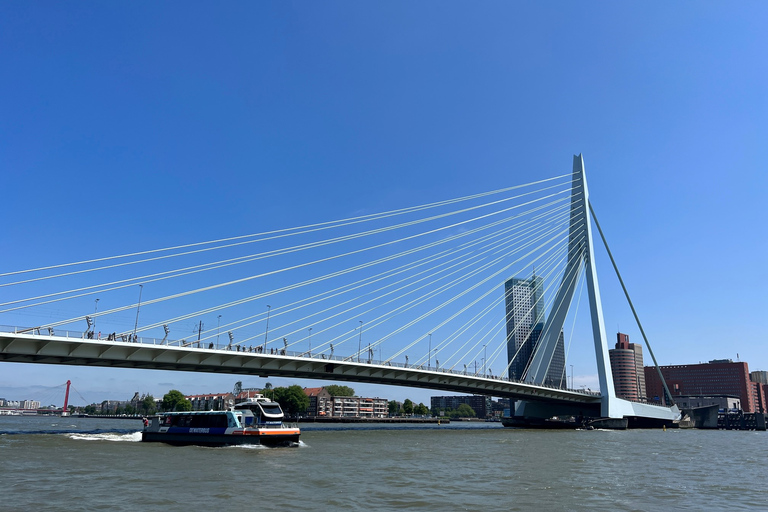 Rotterdam: Billete de autobús acuático a Kinderdijk y Dordrecht