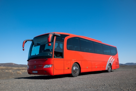 Wycieczka autobusowa po jeziorze Mývatn z portu AkureyriOpcja standardowa