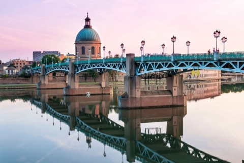 Toulouse: Private custom tour with a local guide 8 Hours Walking Tour