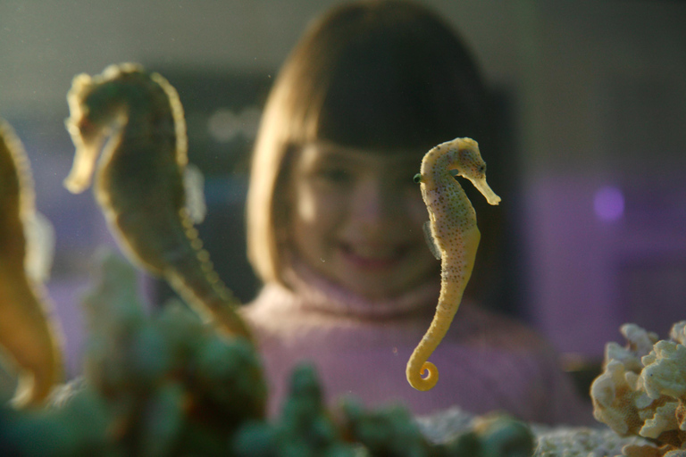 SEA LIFE Berlijn TicketsDagkaart