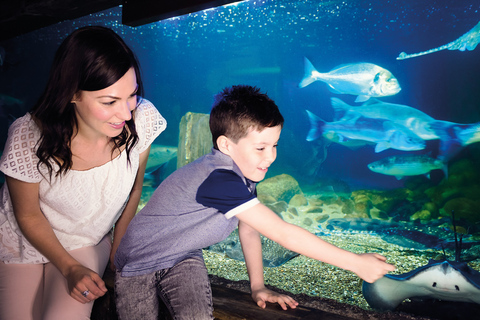 SEA LIFE Berlijn TicketsDagkaart