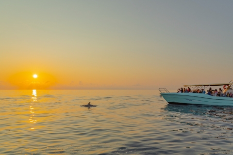 Alcudia: Excursión en barco con delfines y al amanecer en grupo reducidoAlcudia: Delfines y amanecer en grupo reducido