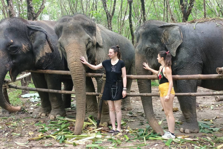 Khao Lak Wild ATV Quad Bike & Gentle Giants Experience From Khao Lak: Elephant Sanctuary Tour with ATV Bike