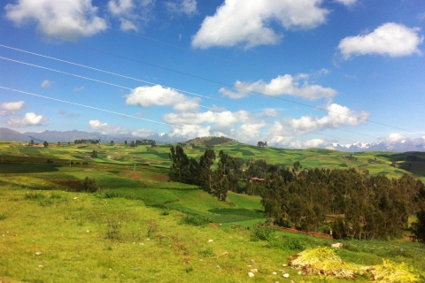 Z Cusco: Półdniowa wycieczka Maras Moray ChincheroMaras Moray Chinchero - bilety wstępu nie są wliczone w cenę