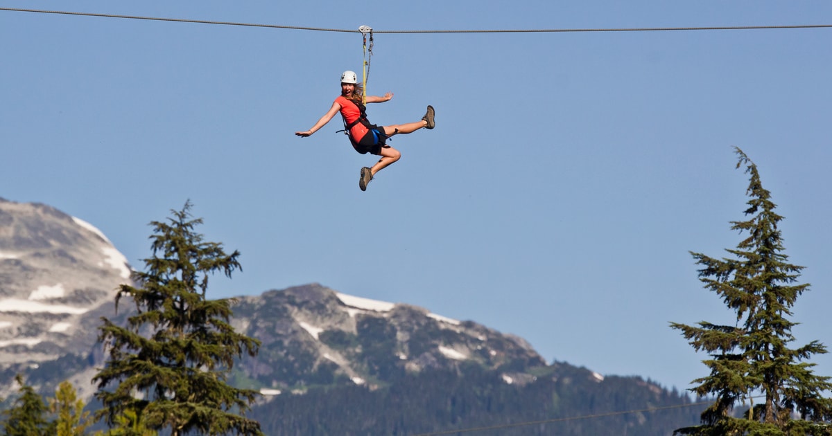 Whistler Zipline Experience Ziptrek Eagle Tour GetYourGuide