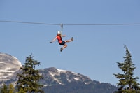 Whistler Zipline Experience, Ziptrek Eagle Tour - Housity