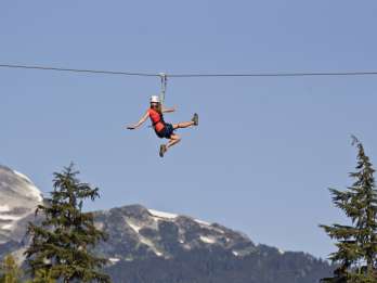 Whistler Zipline-Erlebnis: Ziptrek-Eagle-Tour