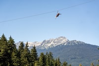 Whistler Zipline Experience, Ziptrek Eagle Tour - Housity
