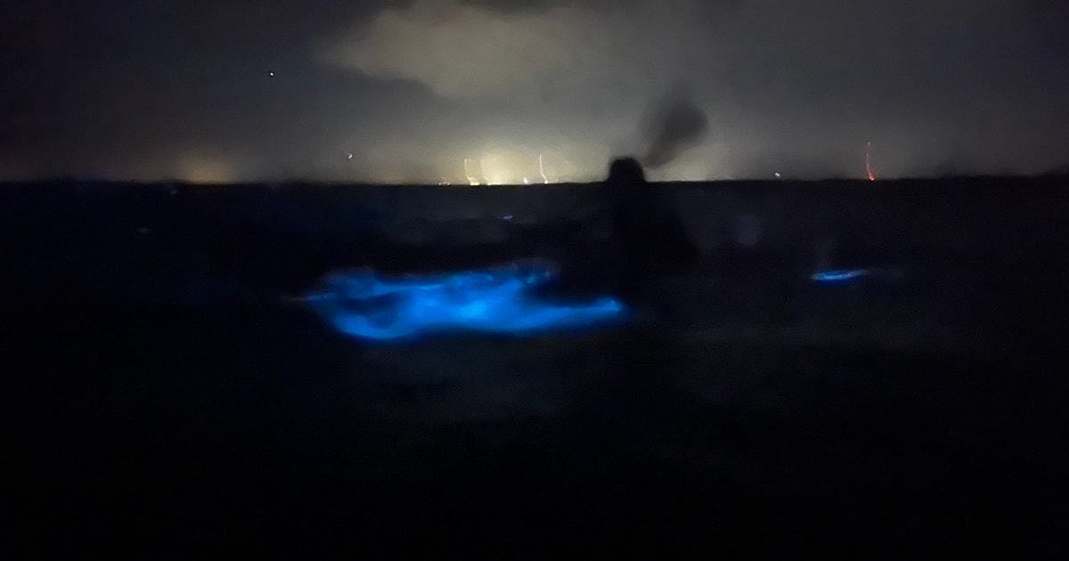 Orlando Bioluminescentie Kajak En Zwemavontuur GetYourGuide