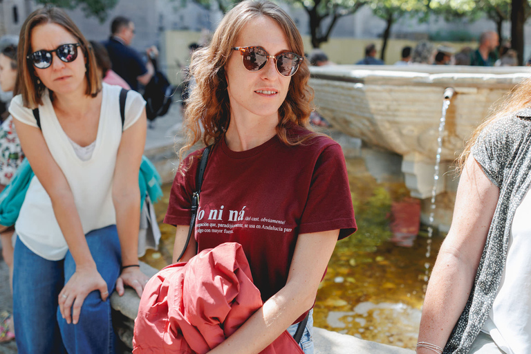 Séville : Visite guidée à pied avec accès à l'Alcazar et à la cathédrale