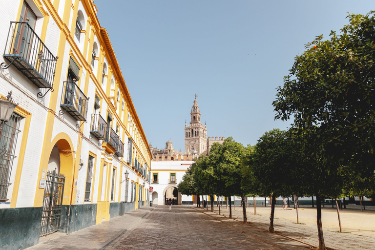 Sevilla: Rondleiding met gids met toegang tot Alcazar & kathedraal