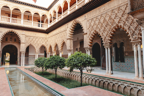 Sevilla: Rondleiding met gids met toegang tot Alcazar & kathedraal