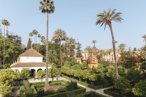 Sevilla: Guidad vandring med tillgång till Alcazar och katedralen