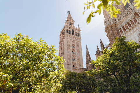 Séville : Visite guidée à pied avec accès à l'Alcazar et à la cathédrale