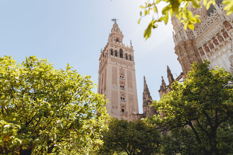 Siviglia: Tour guidato a piedi con accesso all&#039;Alcazar e alla Cattedrale