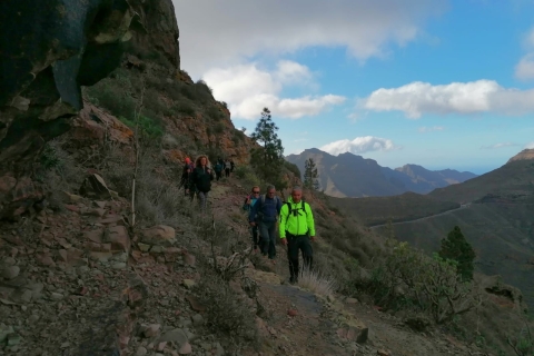 Las Palmas: Reserva Natural Inagua Gran Canaria Walking Tour Tour Reserva Natural Inagua