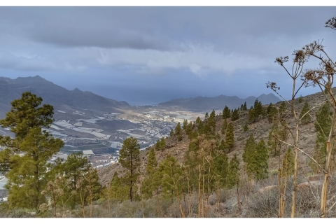 Las Palmas: piesza wycieczka do Reserva Natural Inagua Gran CanariaTour Reserva Natural Inagua