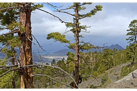 Las Palmas: Reserva Natural Inagua Gran Canaria Excursión a pieExcursión Reserva Natural Inagua