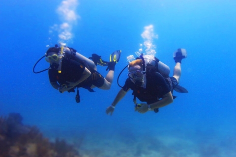 Advanced diving experience: 5 immersions at Maroma beach