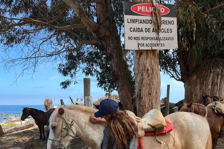 Papudo: Horseback Riding, Penguin Watching, and Sailing