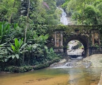 Río, Cuevas del Parque Nacional Tijuca y recorrido de senderismo de cascada - Housity