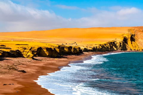 Lima: Tour di un giorno in autobus a Paracas e ai tunnel dell&#039;Hacienda San JosePrelievo dagli hotel di Miraflores