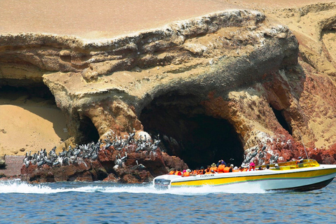 Excursión de día completo a las Islas Ballestas y la Reserva Nacional de ParacasRecogida en hotel de Miraflores