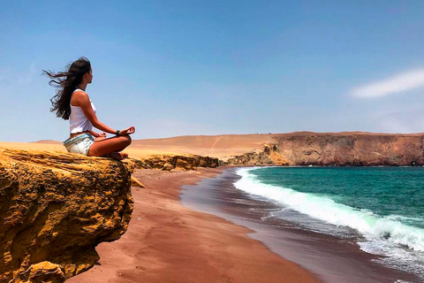 Lima: Tour di un giorno in autobus a Paracas e ai tunnel dell&#039;Hacienda San JosePrelievo dagli hotel di Miraflores