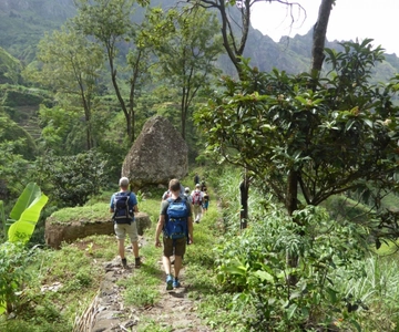 Paúl hike, the green garden