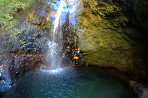 Madère : excursion privée de canyoning