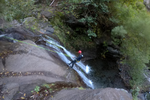 Madère : excursion privée de canyoning