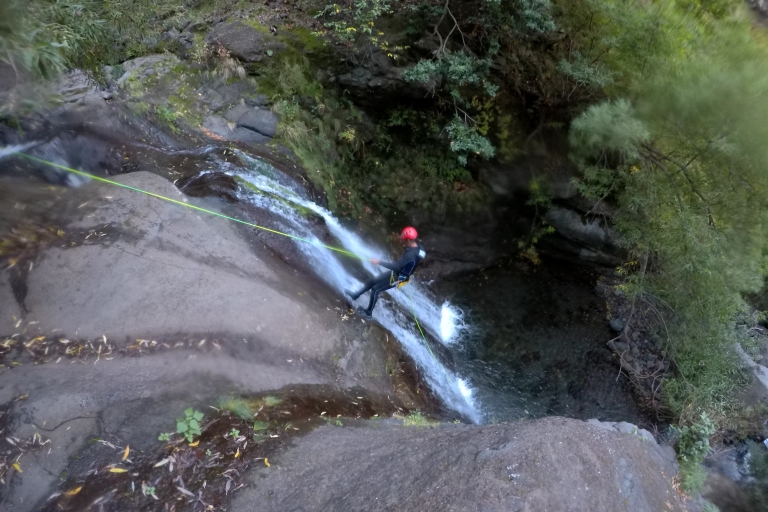 Madeira: Canyoning Privat Tour
