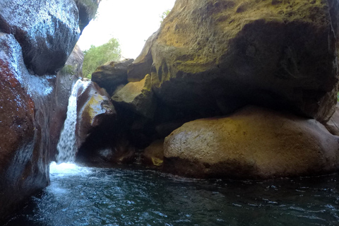 Privat canyoning-tur: MadeiraPrivat tur med kanjonpaddling: Madeira