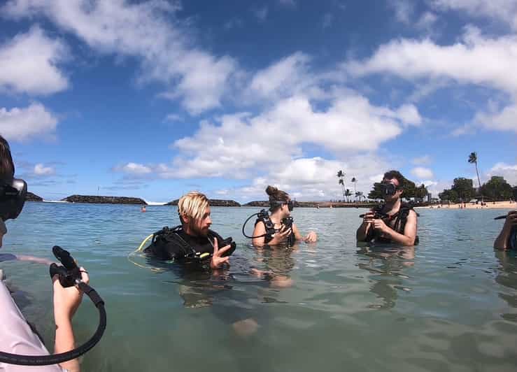 Honolulu Beginner Scuba Diving Tour With Free Videos GetYourGuide