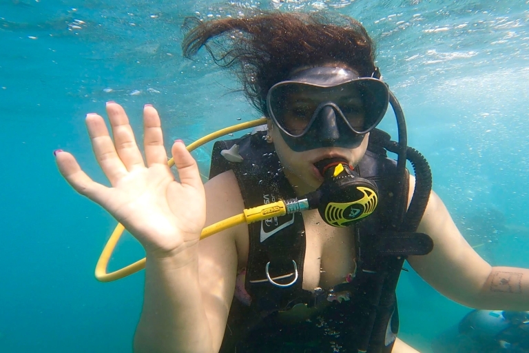 Honolulu: Excursión de buceo para principiantes con vídeos gratuitos