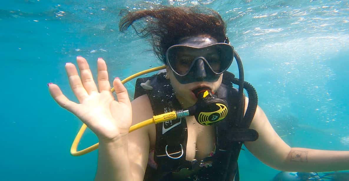 Honolulu Beginner Scuba Diving Tour With Free Videos GetYourGuide