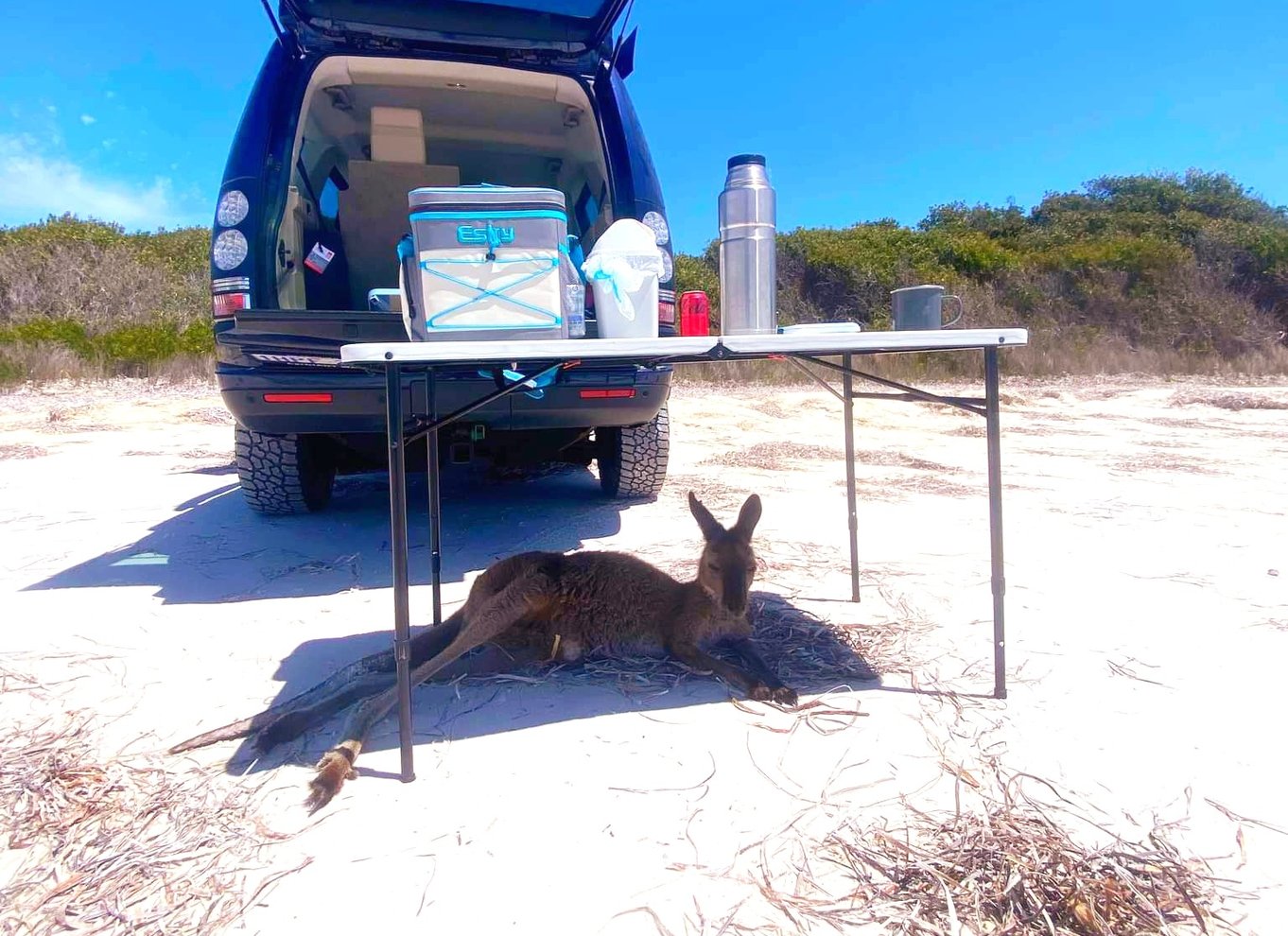 Esperance: Cape Le Grand National Park 4x4 Beach Adventure