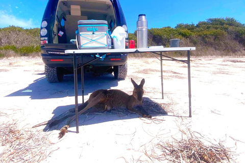 Esperance: Cape Le Grand National Park 4x4 strandavontuur
