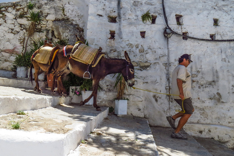 Best of Rhodes and Lindos Private Tour - Small GroupBest of Rhodes and Lindos Private Tour - Small Groups