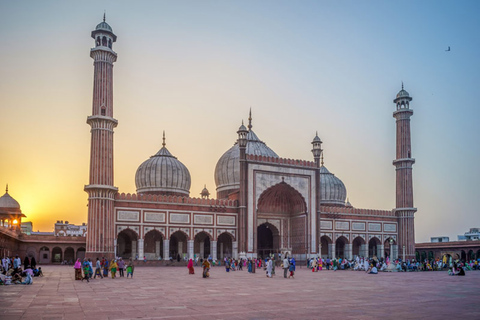 Private Full Day Old and New Delhi Tour- All Inclusive Tour Without Lunch & Entry Fee