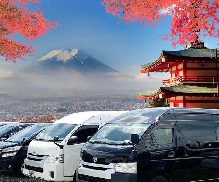Narita Airport (NRT): Private One-Way Transfer to/from Fuji