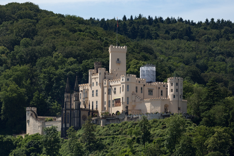 Coblenza: Crucero turístico por el Castillo del Valle del Rin