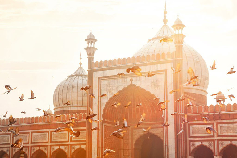 Private Sightseeing-Tour durch Alt- und Neu-Delhi