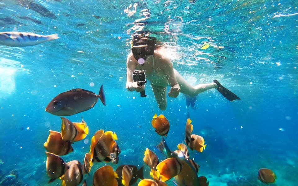 Bali Activities: Snorkeling At Blue Lagoon And Tanjung Jepun | GetYourGuide