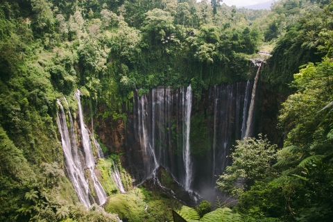 Experience Waterfalls and Hike to see an Umbrella Rock Chasing Waterfalls (Visit 4 waterfalls)