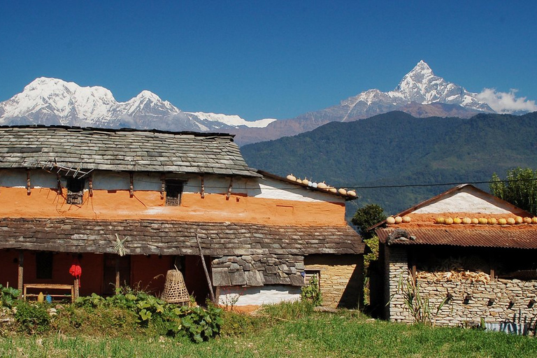 Kathmandu: 5 Tage Ghorepani Private Trek (Ktm-Pkr per Flug)