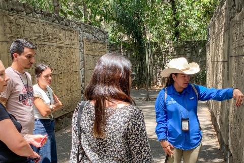 Mexico: visite guidée du musée d'anthropologieVisite privée